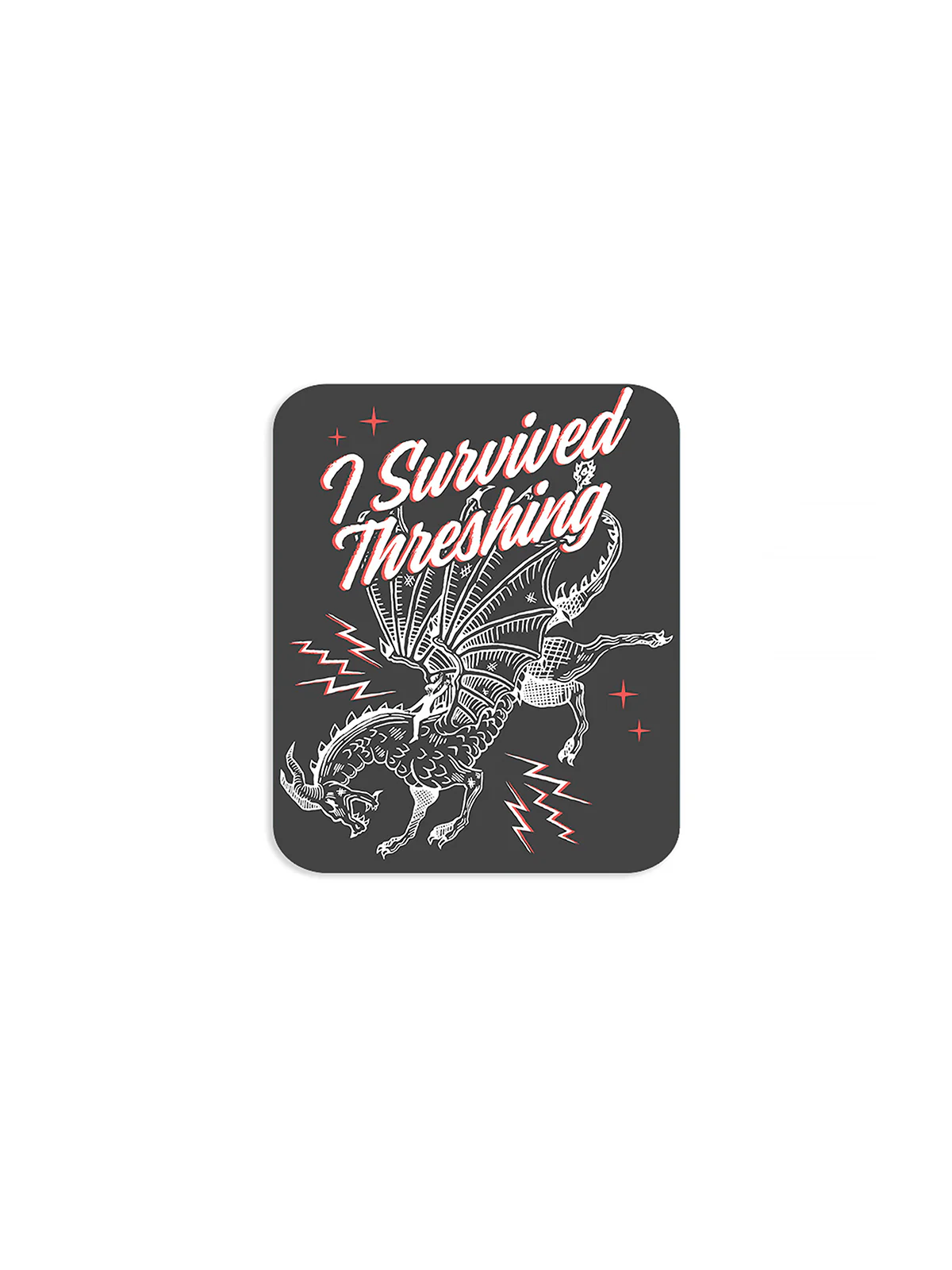 Fourth Wing: Dragon Rider Stickers - Set of 4 - Image 3